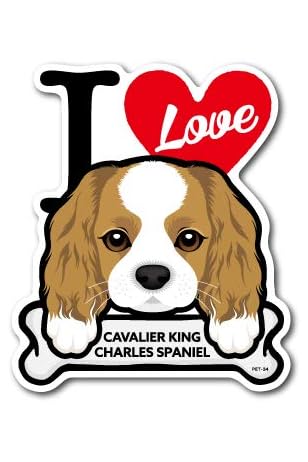 Amazon Co Jp Pet 034 Cavalier King Charles Spaniel キャバリア Dog Sticker ドッグステッカー 車 犬 イラスト アイラブ ペット 愛犬 ペット用品