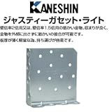 カネシン ジャスティーガセット・ライト 440-4218(50個)