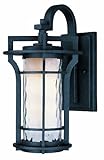 Maxim 30486 1 Light 21 " Tallアウトドア壁取り付け用燭台、オークビルコレクションから 30486WGBO 1