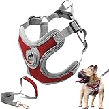 SAEGYPET 犬用ハーネス リードセット付き 引っ張り不要 犬の首輪ハーネス パッド入りベストハーネス付き 小・中・大型犬のトレーニングとランニング用 (赤, S)
