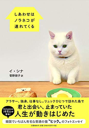 しあわせはノラネコが連れてくる