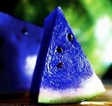 安いスイカの種ミニガーデン野菜ミックス色ブルースイカの種子果実の種子スイカの種の植栽B014