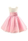 DOOXI 女の赤ちゃんのメッシュショルダープリーツメッシュの3次元の花の女の子プリンセスドレスのスプライシング(110, ピンク) [並行輸入品]