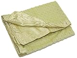 Crib Clouds Cuddle Fleece Dots and Satin Baby Security Blanket, Sage Green by Colorado