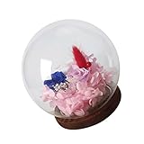Dovewill 花瓶　花器　ガラスカバー　マイクロランドスケープ　装飾品　透明