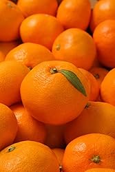 和歌山県産 みかん 10キロ ご家庭用