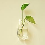 【ノーブランド品】水耕栽培　テラリウム用　ガラス製　吊り下げ式　花瓶　ボトル　コンテナ