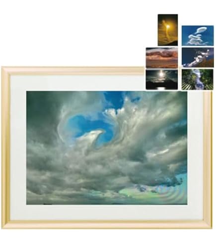 Amazon.co.jp: 秋元隆良 奇跡の写真 ｢富士山・幕開け｣ 【龍と鳳凰六景