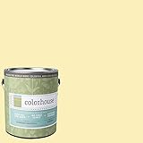 Inspired Eggshell Interior Paint, Aspire .01, Gallon [並行輸入品]