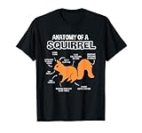 リスの解剖学 Tシャツ