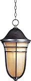 Maxim Lighting 40107MCAT, Westport VX 1-Light Outdoor Hanging Lantern, Artesian Bronze [並行輸入品]