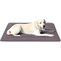dog mat amazon