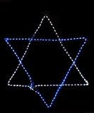 Vickerman Blue and White LED Rope Light Star of David Hanging Hanukkah Decoration, 15' [並行輸入品]