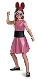 High Quality Blossom Classic Powerpuff Girls Cartoon Network Costume, Large/10-12