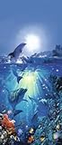 ドルフィンポスター写真壁紙 – Dolphin In the Sun（79 x 34インチ)