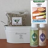 リークの栽培セット/豊作セット（液体肥料付き）プランターホワイト仕様