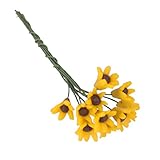 MagiDealミニチュアドールハウス盆栽クラフトガーデンマイクロ風景DIYフラワーデコレーション10個パック 0579003360186USA