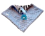 BbEmerald Blue Zebra Minky Pacifier Blanket