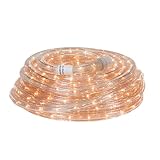 Direct-Lighting RLWL-INC-48 Warm White 48 FT INCADESCENT Rope Light [並行輸入品]