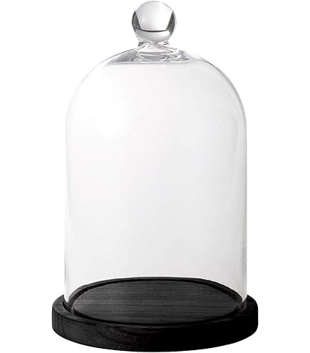 ガラスドーム ダルトン DULTON M Amazon.co.jp: ダルトン(Dulton) ディスプレイ用品 グラスドーム