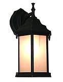 Z-Lite T21-BK-F 1-Light Outdoor Wall Light, Seedy White Shade [並行輸入品]