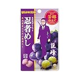 味覚糖 忍者めし 巨峰味 20G
