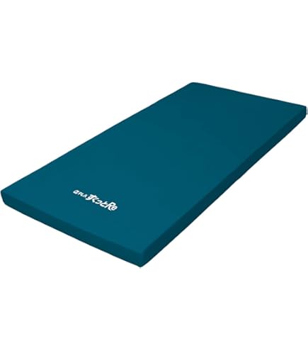 Amazon.co.jp: パラマウントベッド プレグラーマットレス KE-553Q 83cm