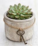 アンティーク風 おしゃれで かわいい フラワーポット 麻ひも & 古カギ チャーム付 植物用 容器