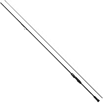 Amazon.co.jp: Daiwa (DAIWA) 21 Emeraldas Air FC LT2500S-DH