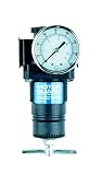 Motor Guard RG4520 1/2 NPT Compressed Air Regulator [並行輸入品]