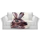 ブランケットウルトラソフトFuzzy 4サイズ！DIANOCHEデザインからby Dawn Derman HareホームDecor Unique Designer芸術的スタイリッシュな寝室アイデアCo