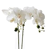 【Blooming＆me】フラワーデザイナー推薦 枯れない 高品質 上質な造花 素敵な空間 インテリア 胡蝶蘭 コチョウラン ２本セット [並行輸入品]