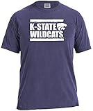 NCAAフェード半袖快適カラーTee 3L パープル