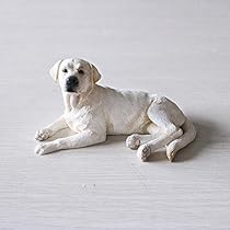 41vclZGXfQL._AC_UL210_SR210,