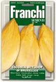 【FRANCHI社種子】【40/8】リーフチコリ　DI BRUXELLES