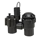 Rain Bird DASASVF075 Sure Flow Professional Grade Anti-Siphon Valve, 3/4" [並行輸入品]
