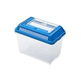 飼育容器 ミニ 青(175×105×105mm) プラケース 虫かご 飼育容器 昆虫 メダカ ザリガニ 両生類など