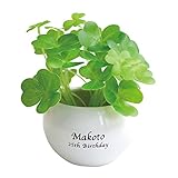 名入れ 光触媒 観葉植物 ハッピークローバー