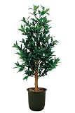 光触媒加工 天然木使用 人工観葉植物 ニューローレルタワー 高さ120cm 6号鉢 消臭/抗菌/防汚 059-0004