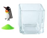 花市場直送便 ミニチュアガラス キングペンギン & カラーサンド パステルグリーン & 植え込み用グラス ニューブロックS