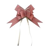 フロロラッピング ワンタッチリボン シルバー 2 レッド 10枚入り 幅3 x 50cm