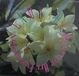 �����o�_�E�m���X�g�b�v�E�q�b�g����