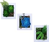 【La Bella】 ウォールグリーン 壁掛け 観葉植物 フェイクグリーン 人工 植物 造花 緑 インテリア (3個セットA)