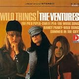 ���C���h�E�V���O�X