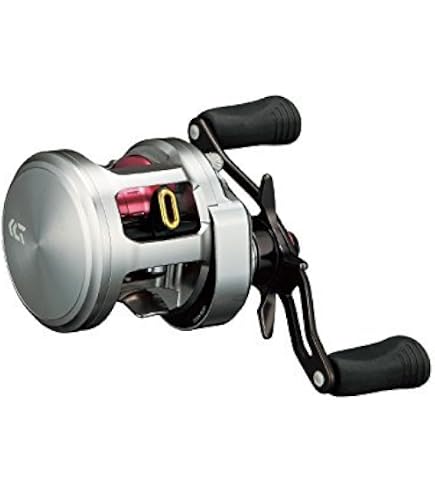 Amazon | ダイワ(DAIWA) ベイトリール 18 RYOGA 1016H(2018モデル