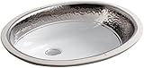 KOHLER K-14174-PK-0 Laureate design on Caxton Undermount Bathroom Sink, Polished Platinum/White [並行輸