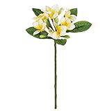 MAGIQ 東京堂 上質な造花  パルティプルメリア  クリームイエロー FM008264-001
