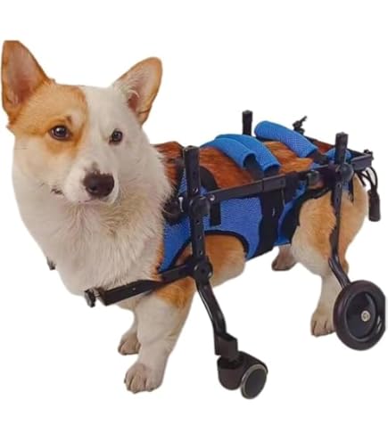 rouken.seta　犬用車椅子　犬の歩行器　シニア犬　介護　犬の車いす Amazon | Catonlifer 犬用車椅子 ペット/猫/犬カート 車椅子