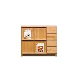 【takano_mokkou 高野木工 NATURAL ナチュラル リビング シリーズ】 完成品 国産 木製 本棚 ディスプレイ (105マガレコ)