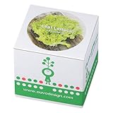 Euvo Design Potted Plant リーフレタス PP10870